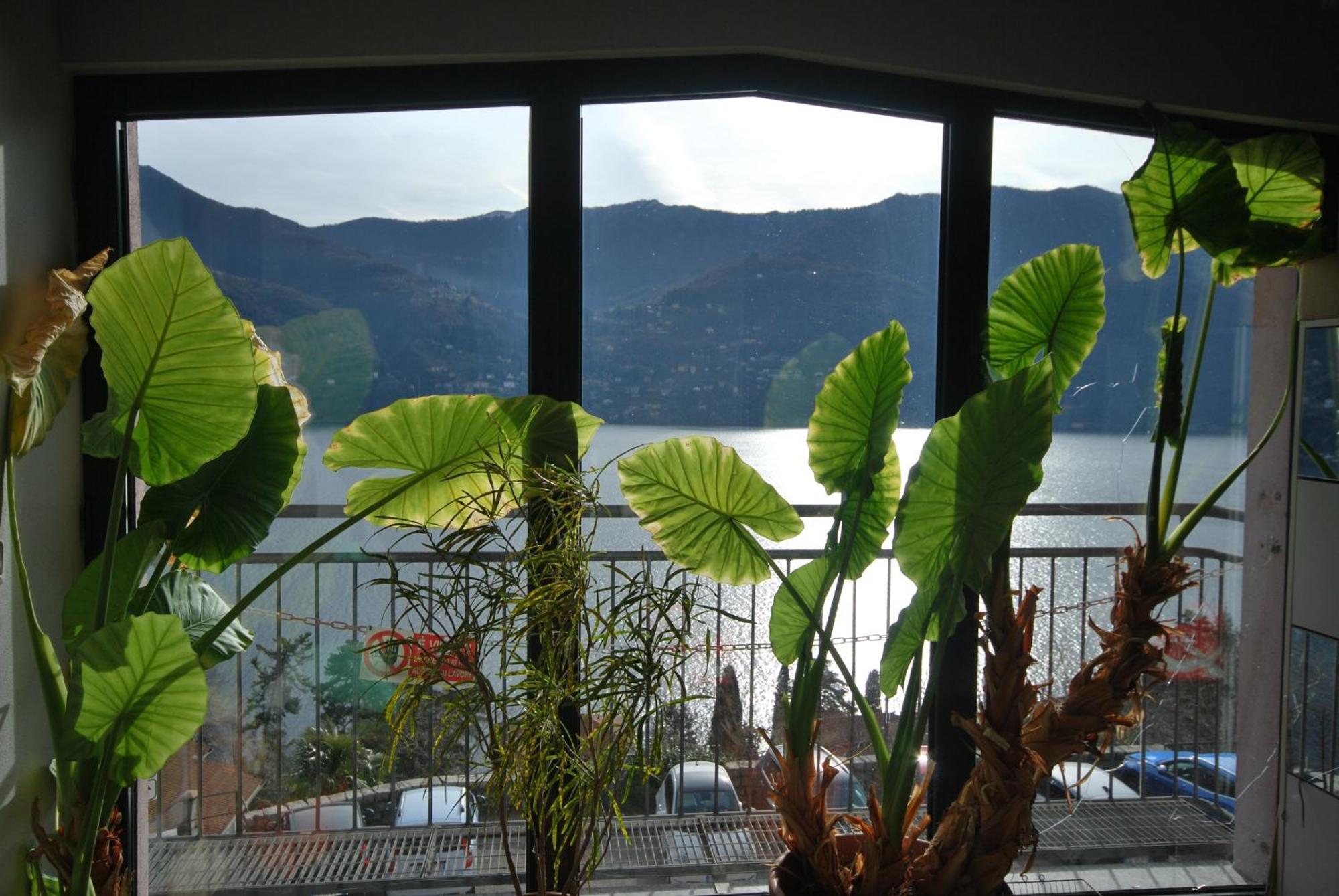 Apartmán Andrea Olga House Laglio Exteriér fotografie